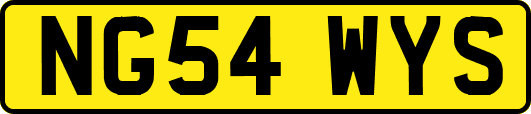 NG54WYS