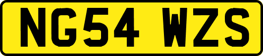 NG54WZS
