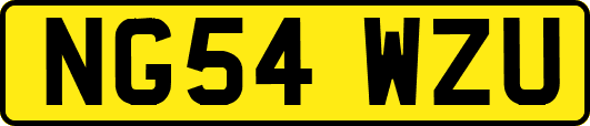 NG54WZU