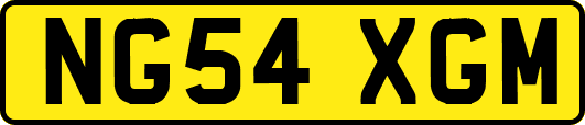 NG54XGM
