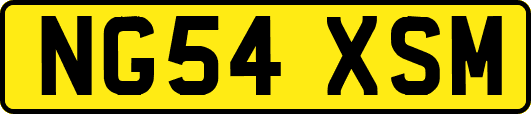 NG54XSM