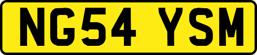 NG54YSM