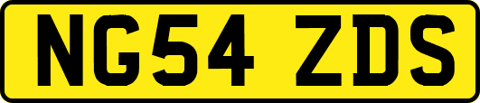 NG54ZDS