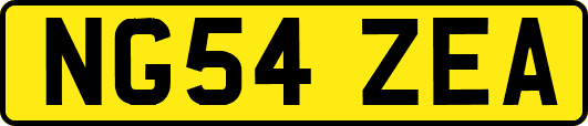 NG54ZEA