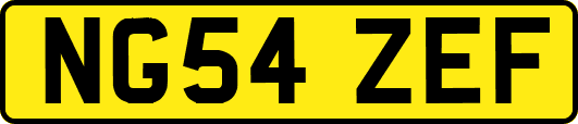 NG54ZEF