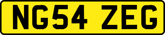 NG54ZEG