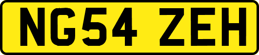 NG54ZEH