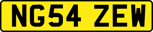 NG54ZEW