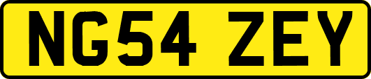 NG54ZEY