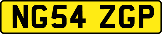 NG54ZGP