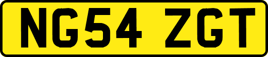 NG54ZGT