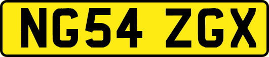 NG54ZGX