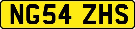 NG54ZHS