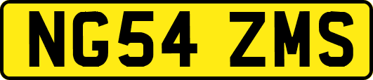 NG54ZMS