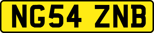 NG54ZNB