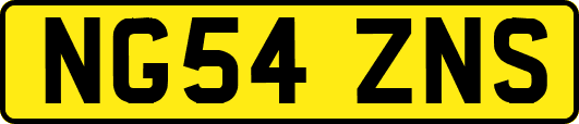 NG54ZNS
