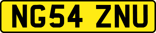 NG54ZNU