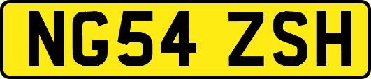 NG54ZSH