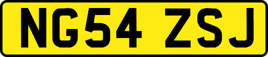 NG54ZSJ