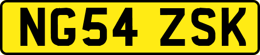 NG54ZSK