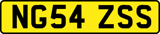 NG54ZSS