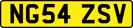 NG54ZSV
