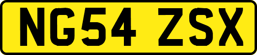 NG54ZSX