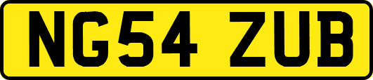 NG54ZUB