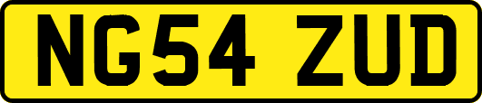 NG54ZUD