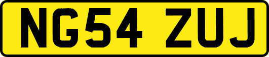 NG54ZUJ