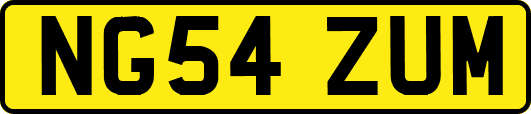 NG54ZUM