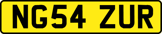 NG54ZUR