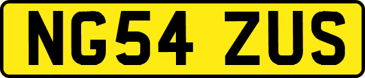 NG54ZUS