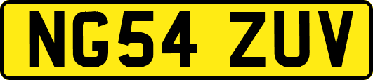 NG54ZUV