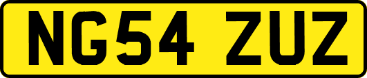 NG54ZUZ