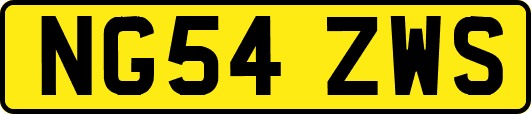 NG54ZWS