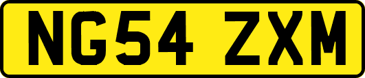 NG54ZXM