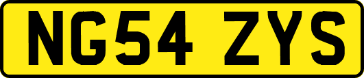 NG54ZYS