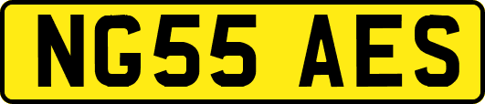 NG55AES