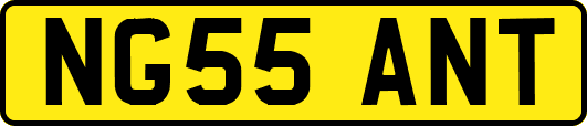NG55ANT