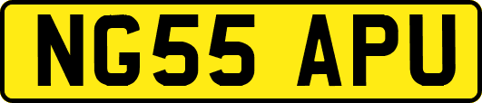 NG55APU