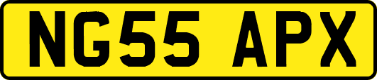NG55APX