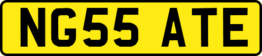 NG55ATE