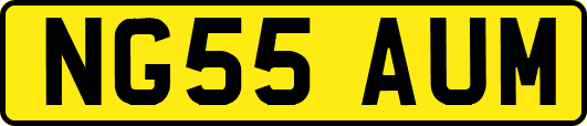 NG55AUM