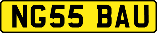 NG55BAU