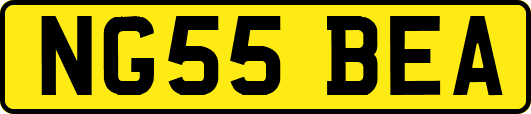 NG55BEA