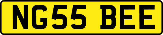 NG55BEE