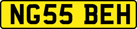 NG55BEH
