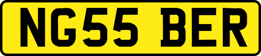 NG55BER