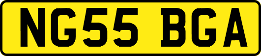 NG55BGA